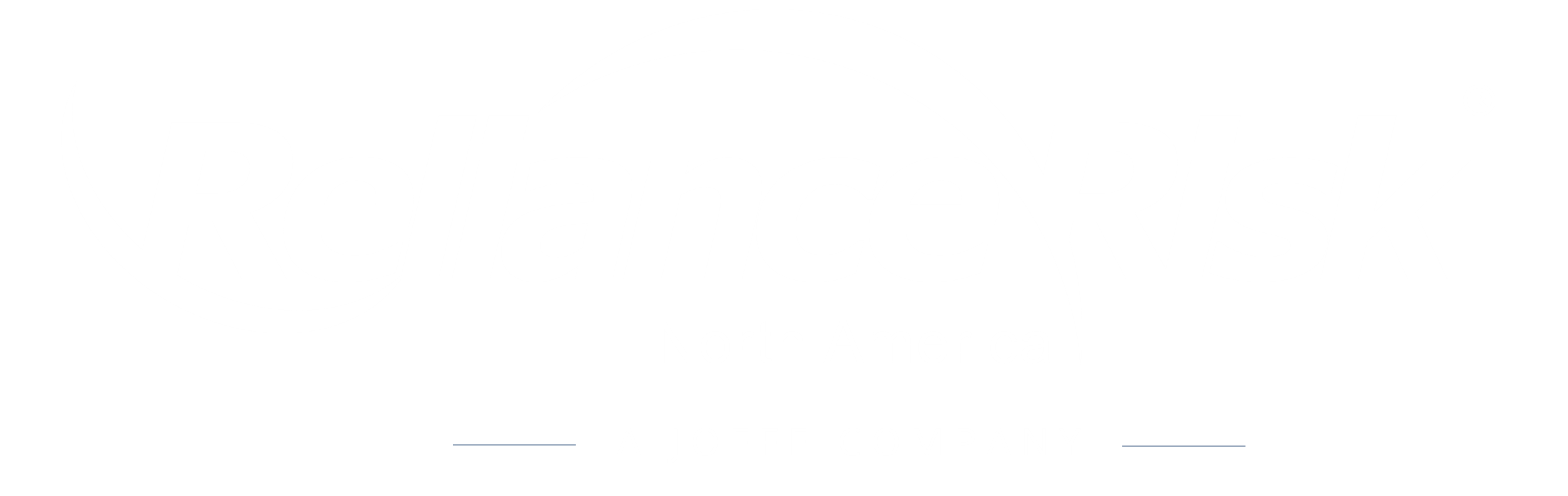 Reliance Risk North America — A Joffe Company